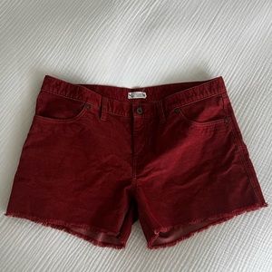 Carve Designs Rust Colored Shorts